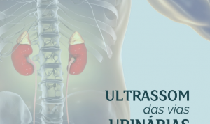 Desvendando os Segredos do Ultrassom das Vias Urinárias: Uma Janela para a Saúde Renal